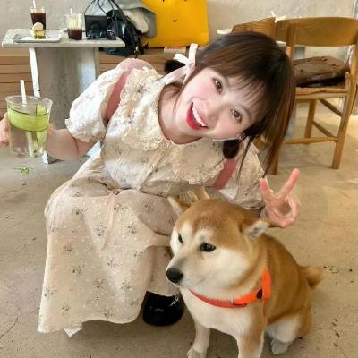 蜜之哀伤